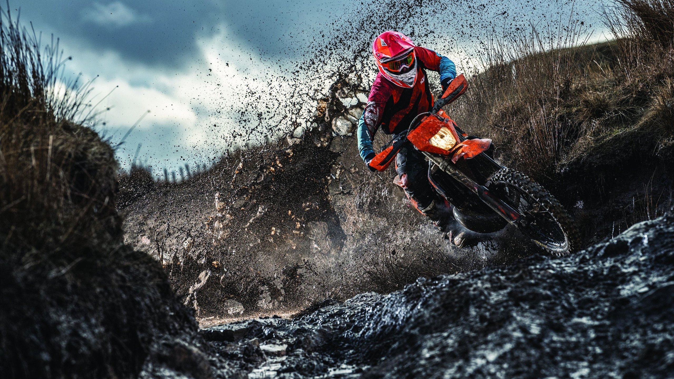 游泳世锦赛：孙杨连续夺金，霸主地位再巩固！，孙杨是哪两届游泳世锦赛的mvp