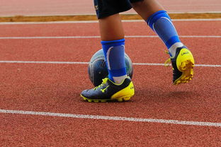 乐鱼体育平台官网-牙买加打造国际运动新品牌，牙买加运动项目